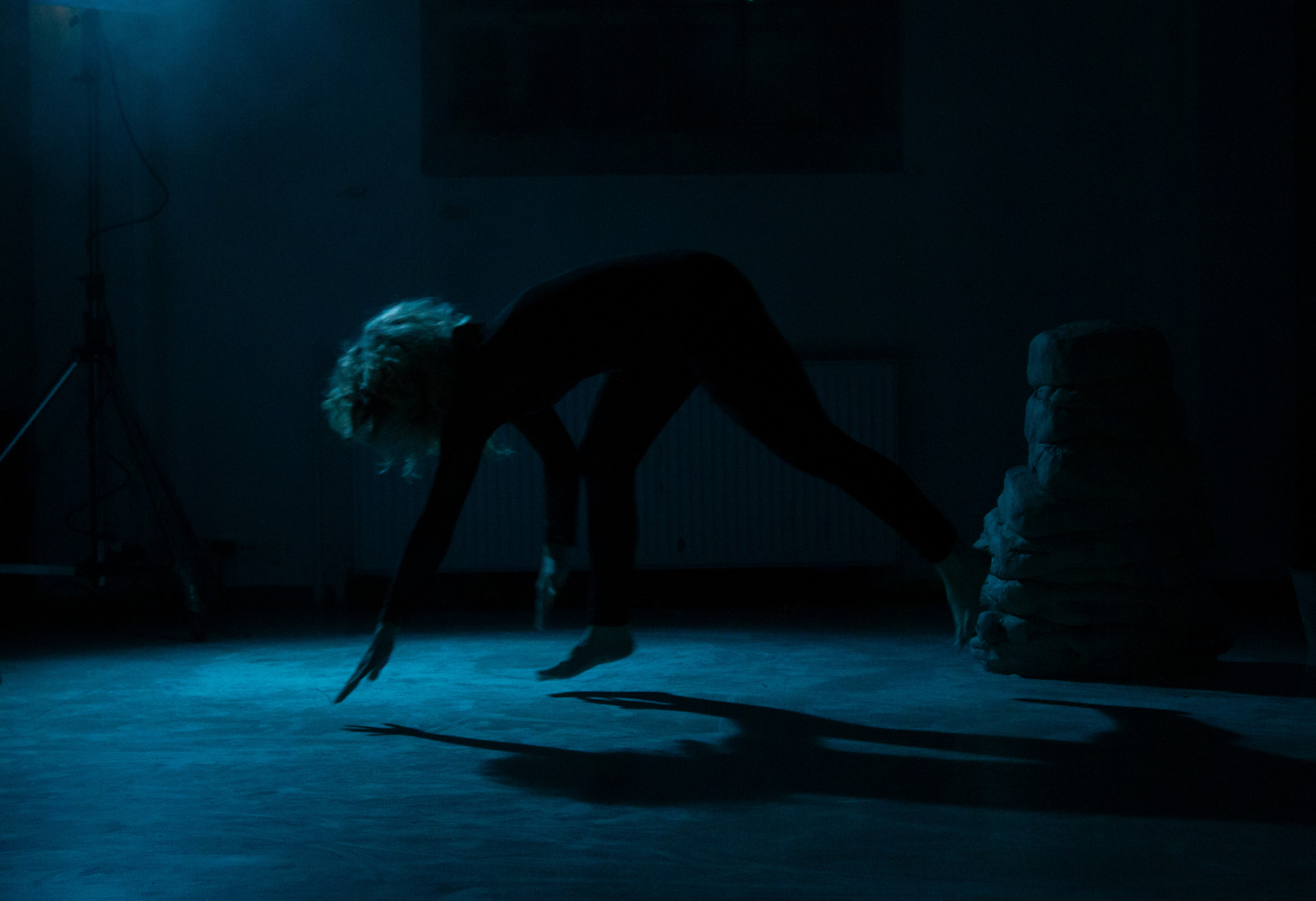 Lycan project picture